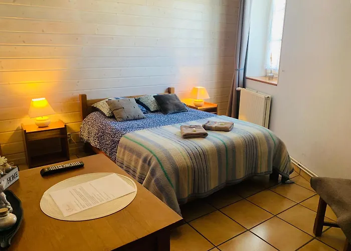 فندق مبيت وإفطار La Ferriere Saint-Médard-en-Forez
