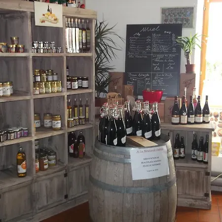 La Ferriere Alojamento de Acomodação e Pequeno-almoço Saint-Médard-en-Forez